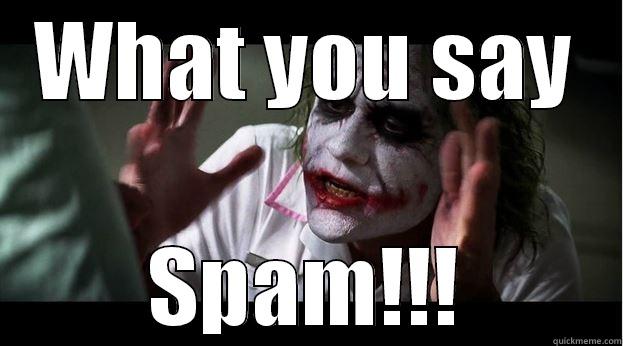 WHAT YOU SAY SPAM!!! Joker Mind Loss