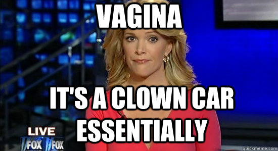 Vagina It's a clown car essentially  essentially megyn kelly