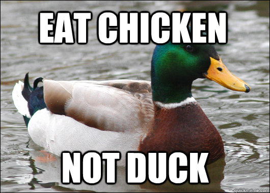 eat chicken not duck  Actual Advice Mallard