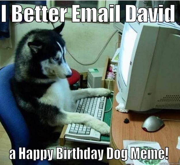 I BETTER EMAIL DAVID  A HAPPY BIRTHDAY DOG MEME! Disapproving Dog