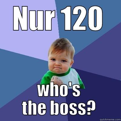 NUR 120 WHO'S THE BOSS? Success Kid