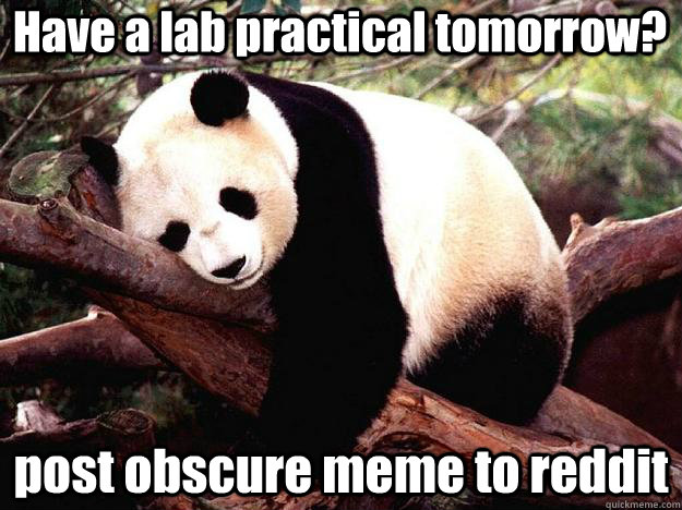 Have a lab practical tomorrow? post obscure meme to reddit  Procrastination Panda