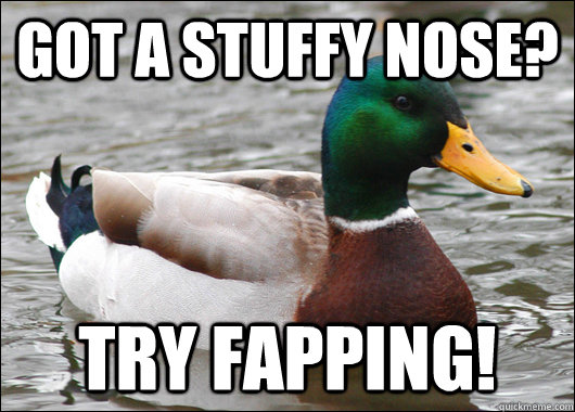 Got a stuffy nose? Try fapping!  Actual Advice Mallard