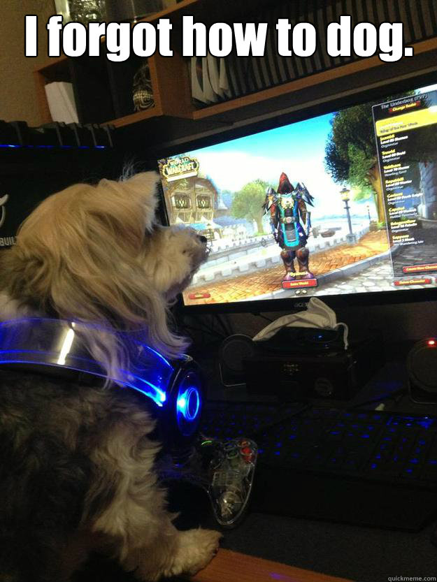 I forgot how to dog.  I forgot how to dog