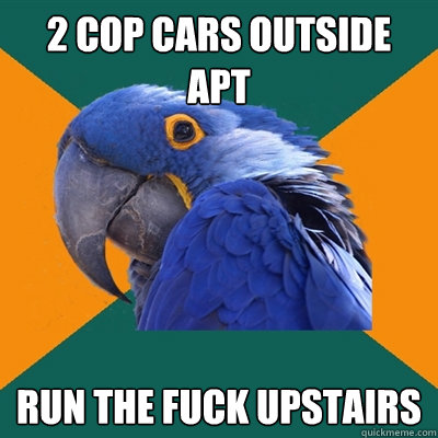 2 cop cars outside apt run the fuck upstairs  Paranoid Parrot