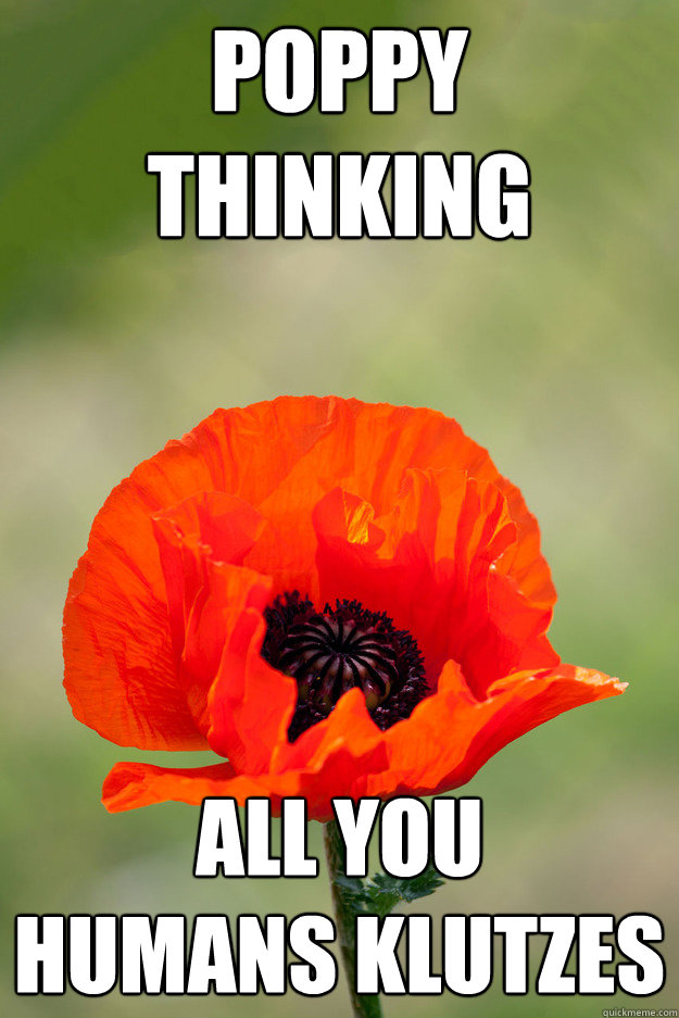War Poppy Thinking memes quickmeme