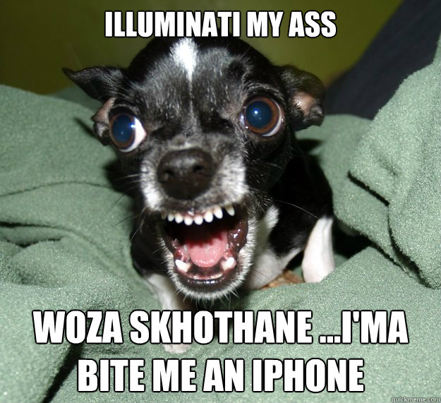 ILLUMINATI MY ASS WOZA SKHOTHANE ...i'MA BITE ME AN IPHONE - ILLUMINATI MY ASS WOZA SKHOTHANE ...i'MA BITE ME AN IPHONE  Chihuahua Logic