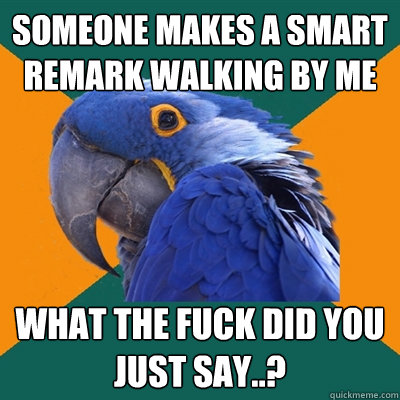 Someone makes a smart remark walking by me What the fuck did you just say..?  Paranoid Parrot