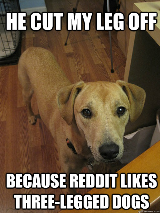 He cut my leg off because reddit likes three-legged dogs  