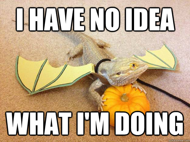 i have no idea what i'm doing  Halloween bearded dragon