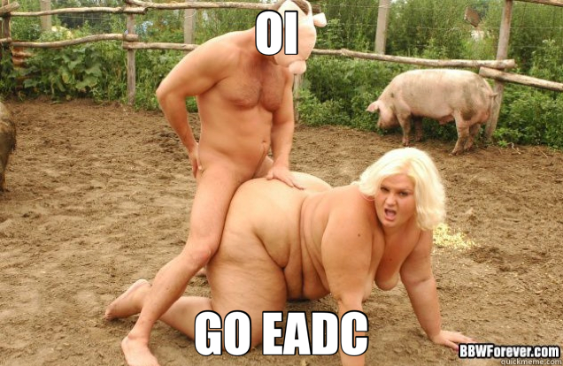 OI  GO EADC  