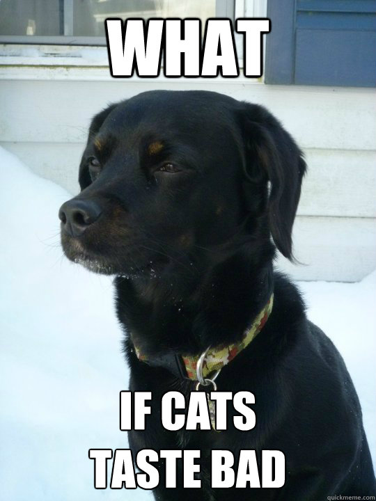 what if cats 
taste bad - what if cats 
taste bad  Philosophical Puppy