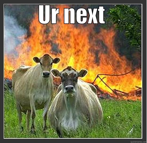 UR NEXT  Evil cows