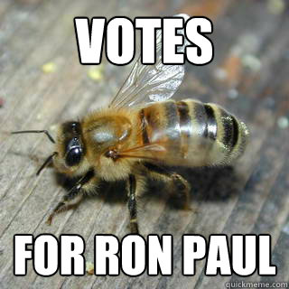 Votes For ron paul - Votes For ron paul  Hivemind bee