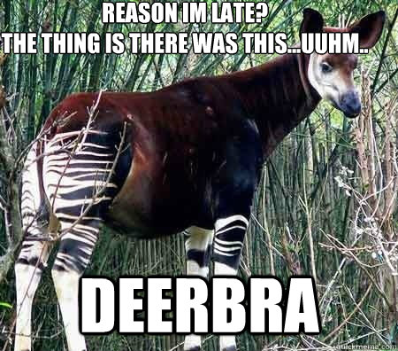 Reason im late? 
the thing is there was this...uuhm.. Deerbra - Reason im late? 
the thing is there was this...uuhm.. Deerbra  deerbra