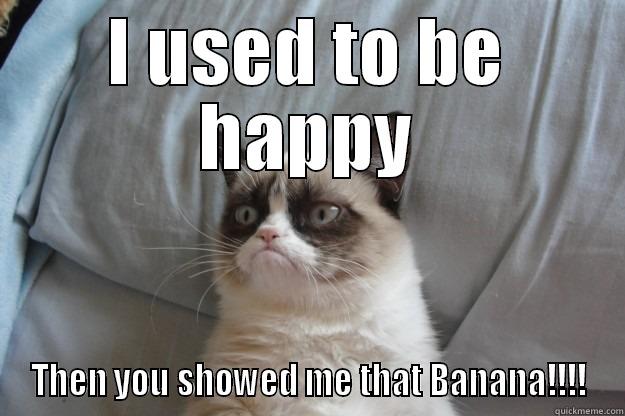 I USED TO BE HAPPY THEN YOU SHOWED ME THAT BANANA!!!! Grumpy Cat