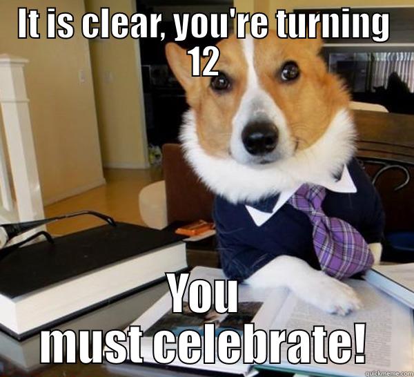 12 años.... - IT IS CLEAR, YOU'RE TURNING 12 YOU MUST CELEBRATE! Lawyer Dog