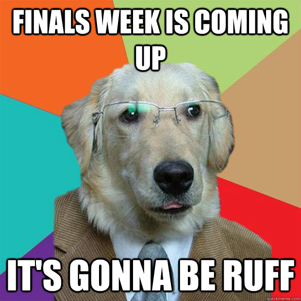 finals week is coming up it's gonna be ruff  Business Dog