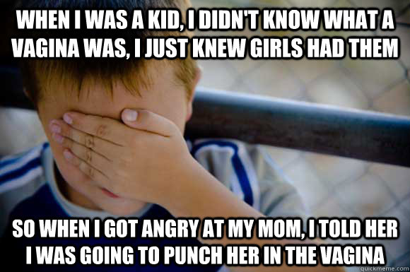 When I was a kid, I didn't know what a vagina was, I just knew girls had them So when I got angry at my mom, I told her I was going to punch her in the vagina  