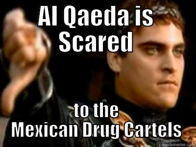 AL QAEDA IS SCARED TO THE MEXICAN DRUG CARTELS Downvoting Roman
