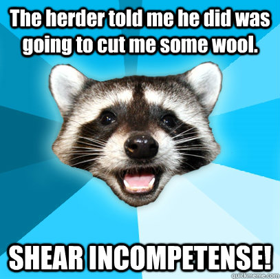 The herder told me he did was going to cut me some wool.  SHEAR INCOMPETENSE!  Lame Pun Coon