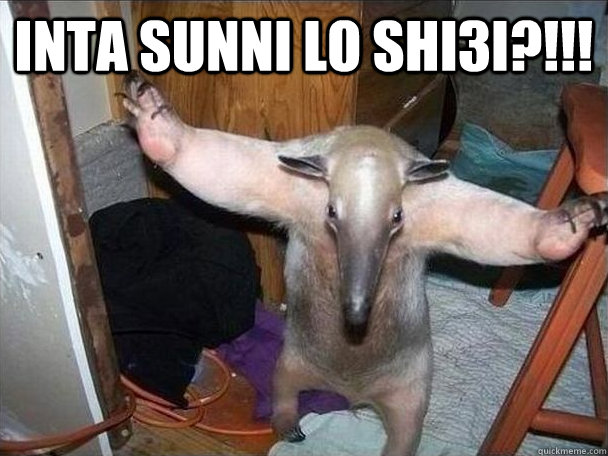 inta sunni lo shi3i?!!!   I got this