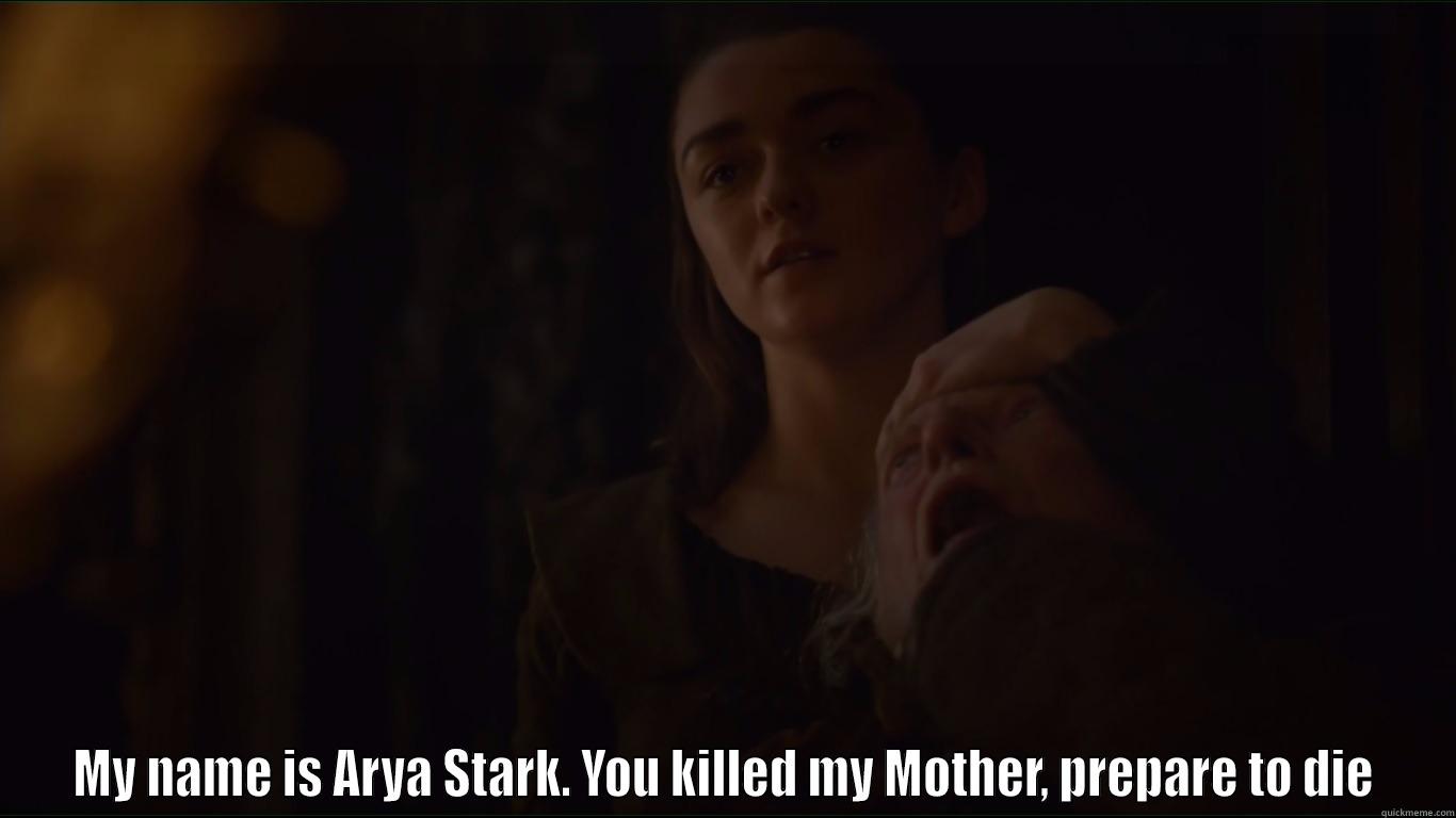  MY NAME IS ARYA STARK. YOU KILLED MY MOTHER, PREPARE TO DIE Misc