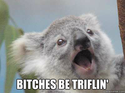 bitches be triflin' - bitches be triflin'  Oh My God Koala