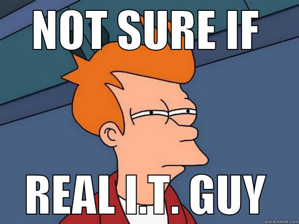 NOT SURE IF REAL I.T. GUY Futurama Fry