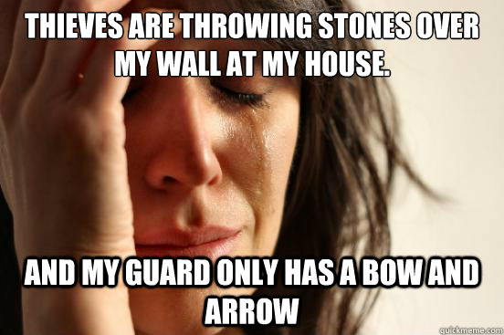 Thieves are throwing stones over my wall at my house. And my guard only has a bow and arrow  First World Problems