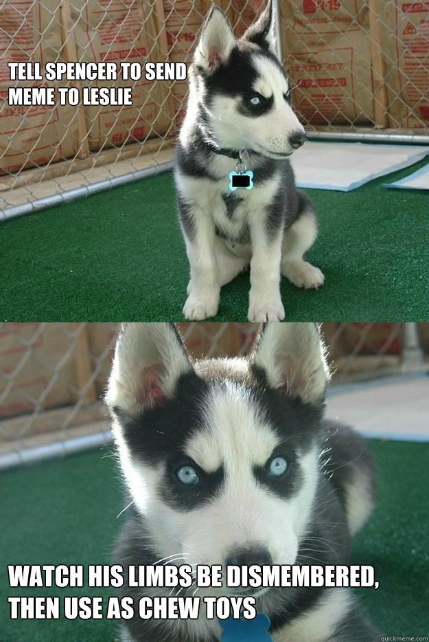Tell Spencer to send 
meme to Leslie Watch his limbs be dismembered, then use as chew toys  Insanity puppy