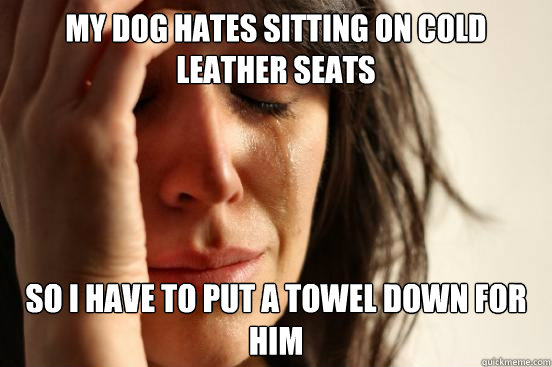 my dog hates sitting on cold leather seats so i have to put a towel down for him  First World Problems