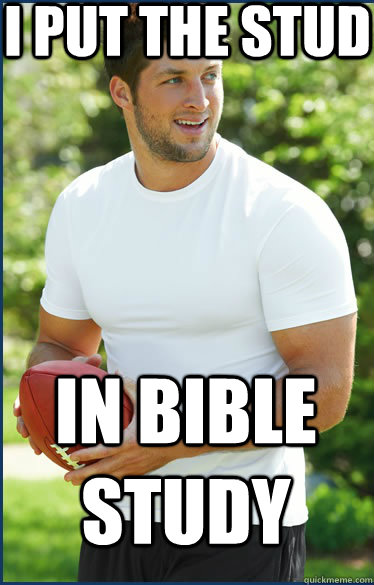 I put the stud In bible study  