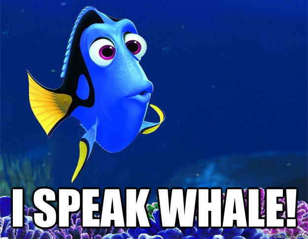  I speak whale!  