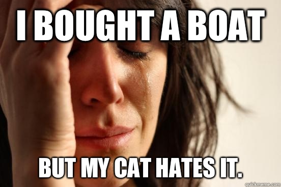 I bought a boat but my cat hates it.  First World Problems