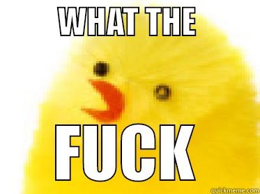          WHAT THE           FUCK Misc