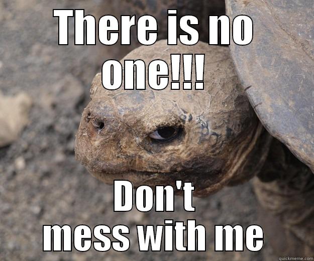 THERE IS NO ONE!!! DON'T MESS WITH ME Angry Turtle