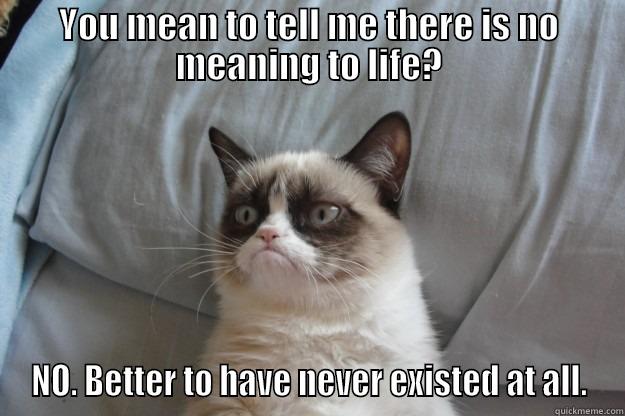 There is no life meaning - YOU MEAN TO TELL ME THERE IS NO MEANING TO LIFE? NO. BETTER TO HAVE NEVER EXISTED AT ALL. Grumpy Cat