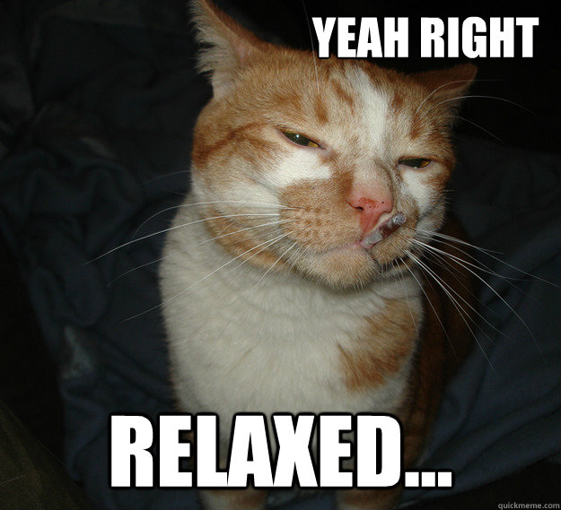                                  Yeah right relaxed...  Cool Cat Craig
