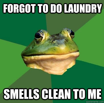 Forgot to do laundry smells clean to me  Foul Bachelor Frog