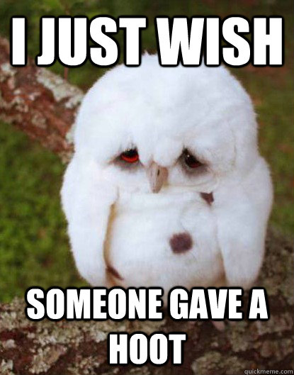 I just wish Someone gave a hoot  