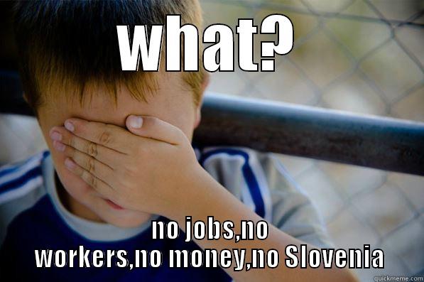 WHAT? NO JOBS,NO WORKERS,NO MONEY,NO SLOVENIA Confession kid