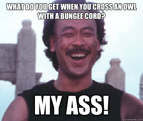What do you get when you cross an owl with a bungee cord? My ass! - What do you get when you cross an owl with a bungee cord? My ass!  Misc