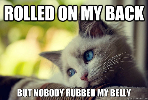 Rolled on my back But Nobody rubbed my belly - Rolled on my back But Nobody rubbed my belly  First World Cat Problems