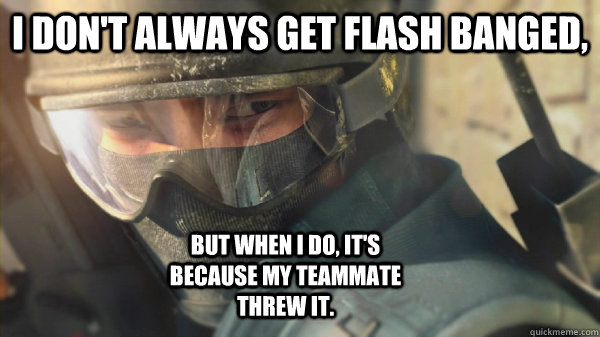 I don't always get flash banged, but when I do, it's because my teammate threw it. - I don't always get flash banged, but when I do, it's because my teammate threw it.  Misc