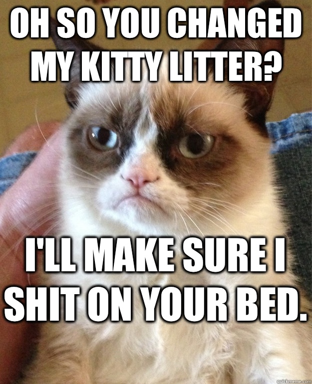 Oh so you changed my kitty litter? I'll make sure I shit on your bed.   Grumpy Cat