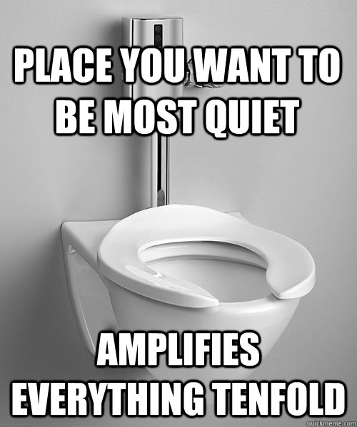 Place you want to be most quiet Amplifies everything tenfold  Scumbag Toilet