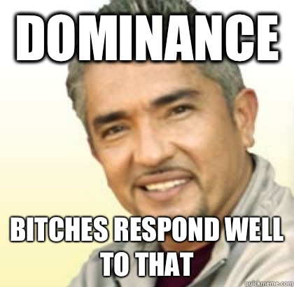 Dominance Bitches respond well to that - Dominance Bitches respond well to that  Cesar Millan