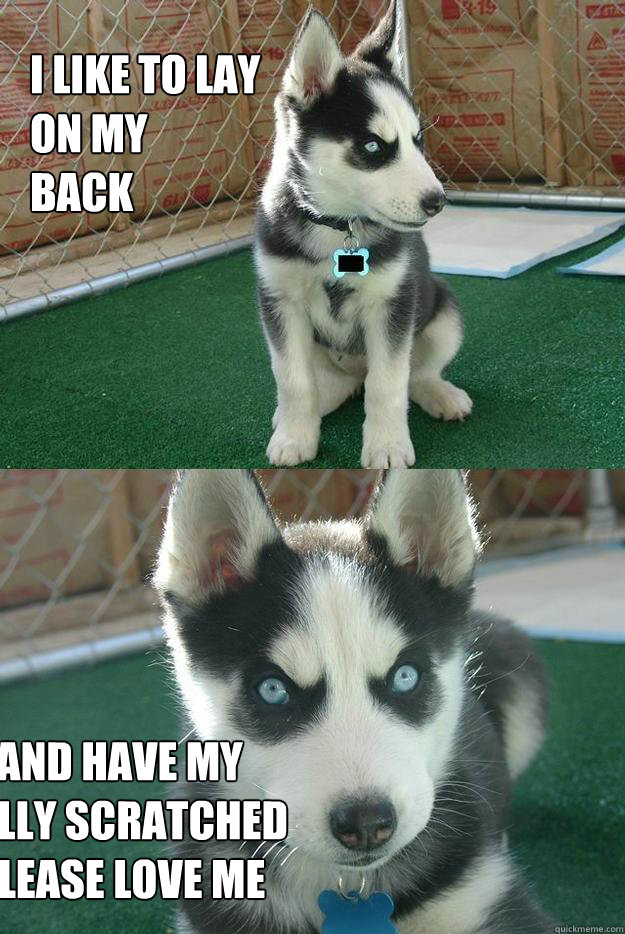 I LIKE TO LAY
ON MY 
BACK AND HAVE MY
BELLY SCRATCHED
Please love me  Insanity puppy