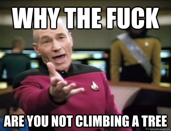 why the fuck Are you not climbing a tree  Annoyed Picard HD